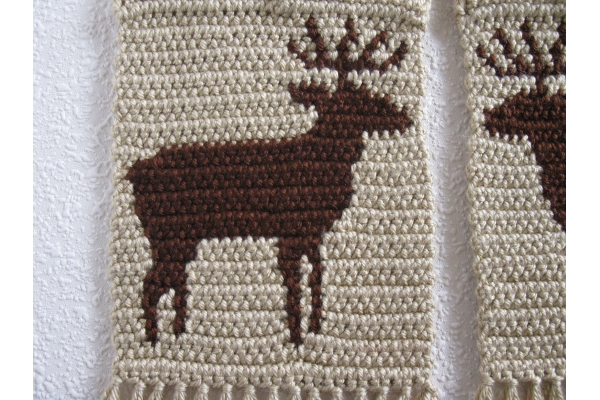 close up deer