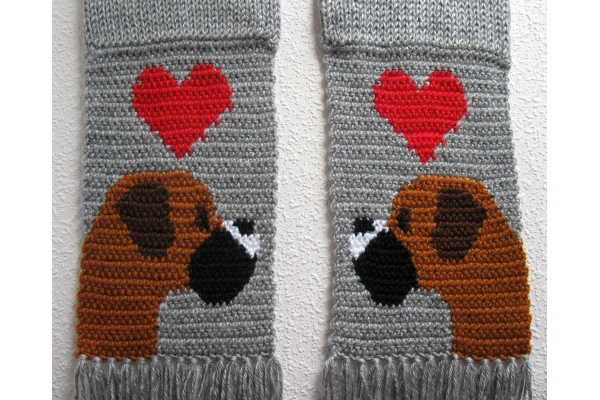 cute boxer dogs