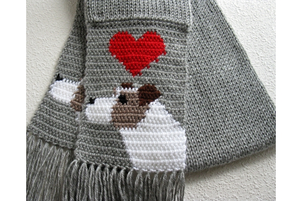 cute Jack Russell