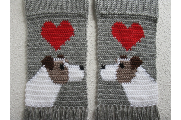 love my Jack Russells
