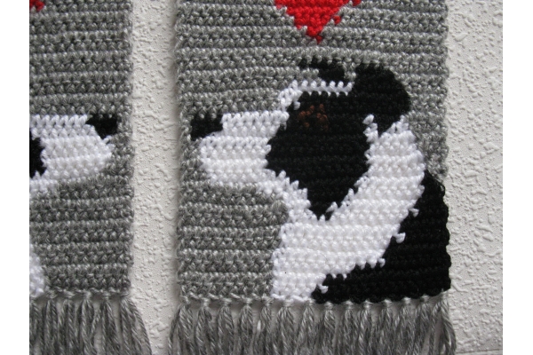 herding dog close up