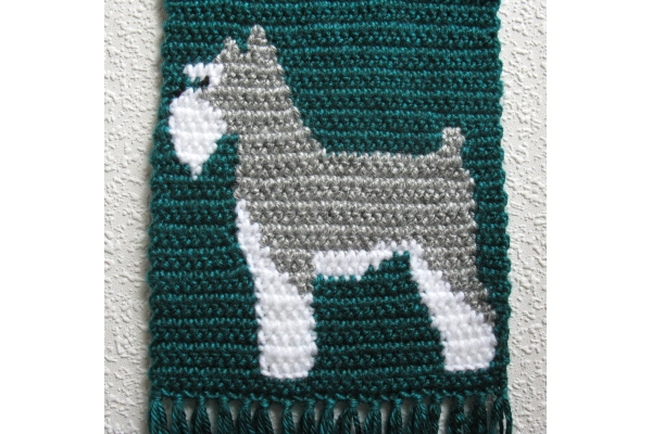 close up schnauzer