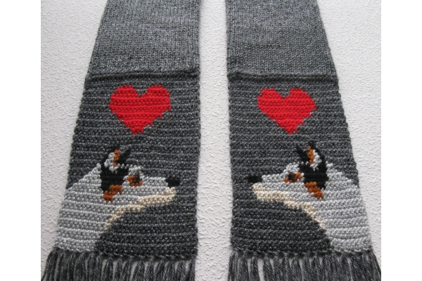 cattle dog scarf