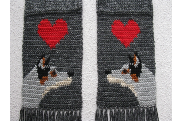 cattle dogs
