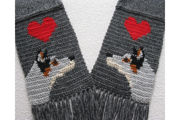 cattle dog
