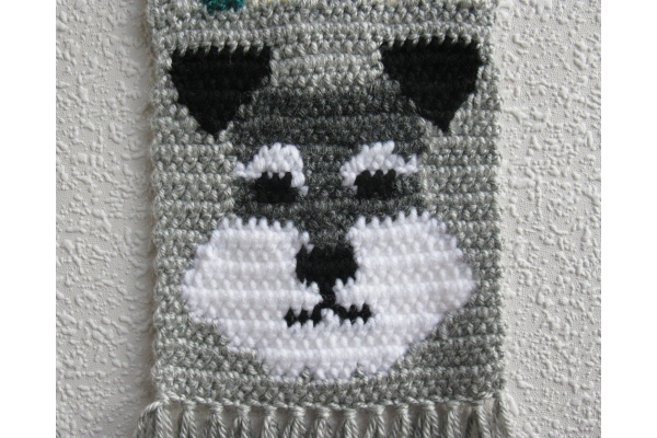 close up schnauzer