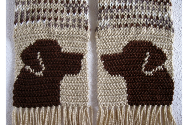 chocolate labs