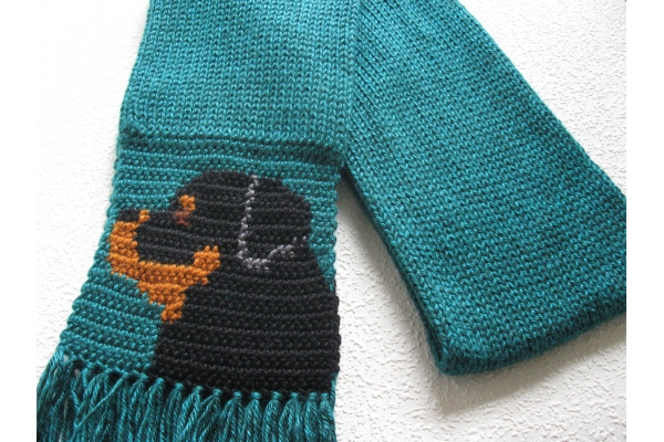 teal rottweiler scarf