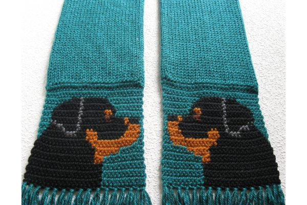 teal dog scarf