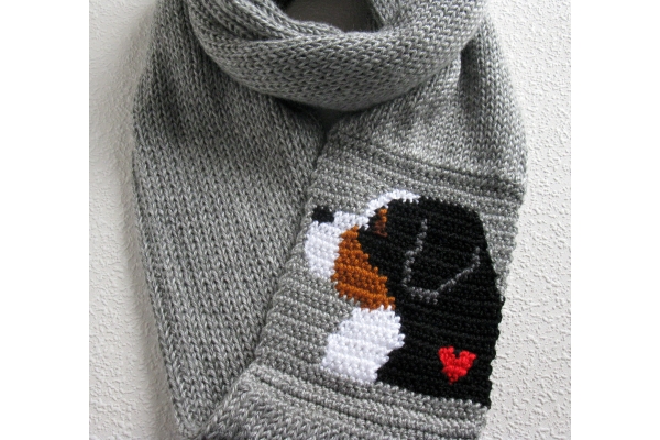 Bernese mountain dog image