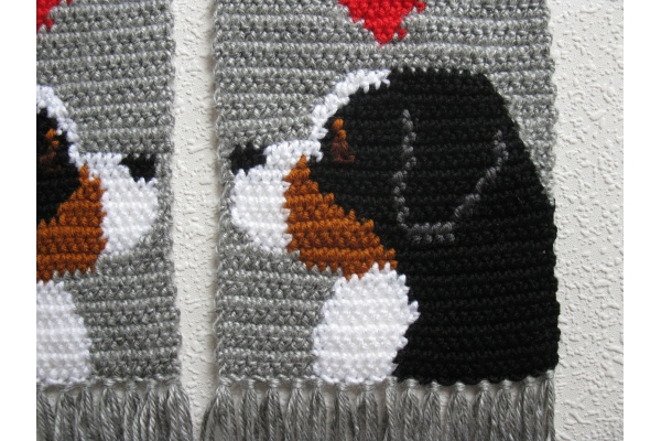 mountain dog close up