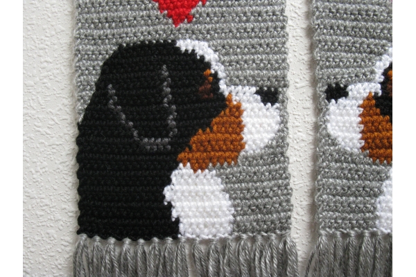 close up mountain dog