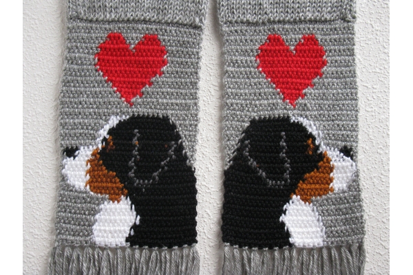 revers mountain dogs