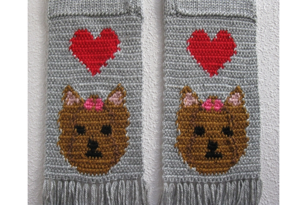 reverse Yorkie
