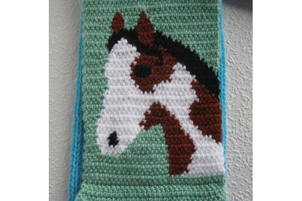 horse close up