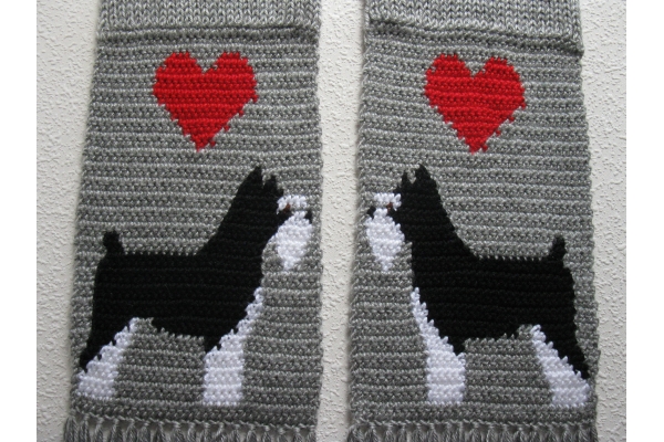 schnauzer dogs scarf