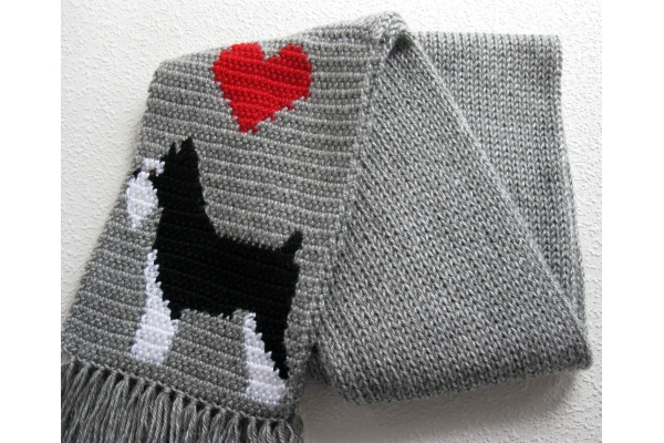 dog scarf image