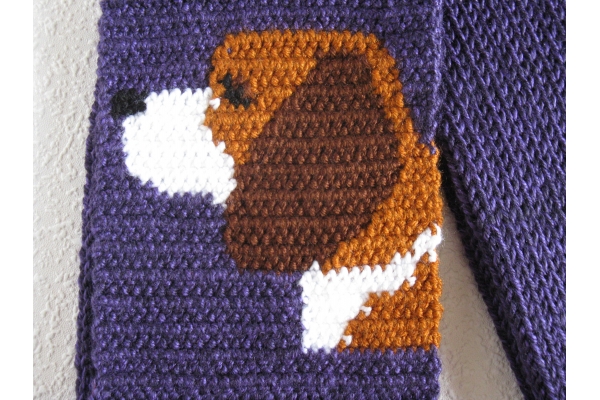 close up beagle