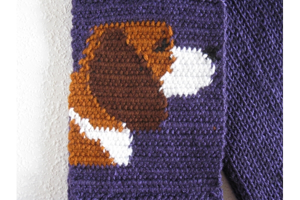 reverse beagle