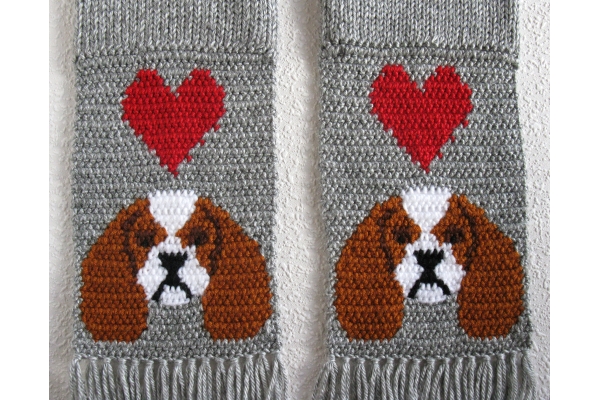 King Charles spaniel dogs