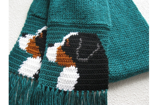 mountain dog scarf