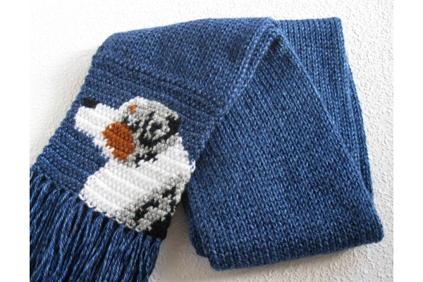 full view dog scarf