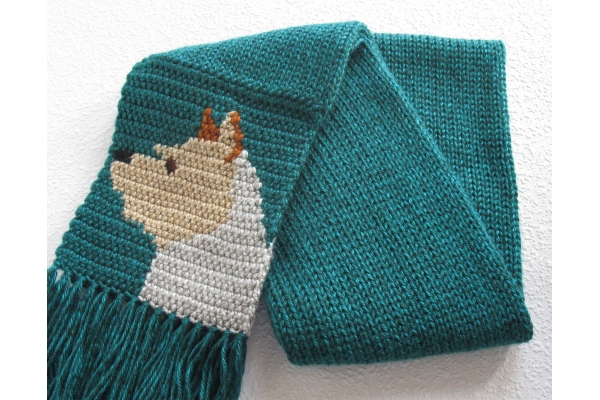 teal dog scarf