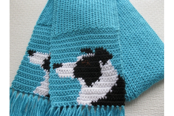 Border collie scarf