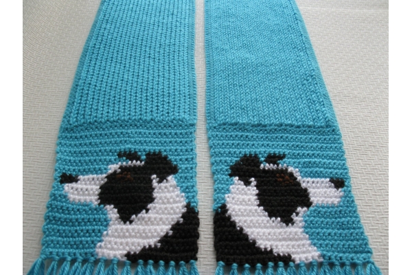 turquoise dog scarf