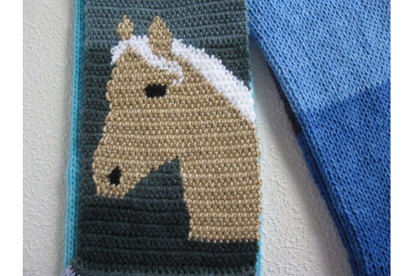 close up horse