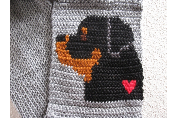close up rottweiler