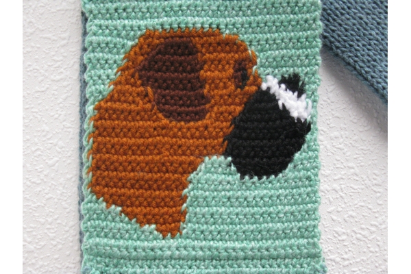 reverse boxer