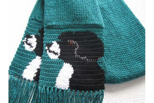 water dog scarf
