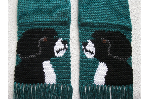 teal dog scarf