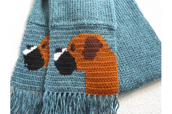 boxer dog scarf
