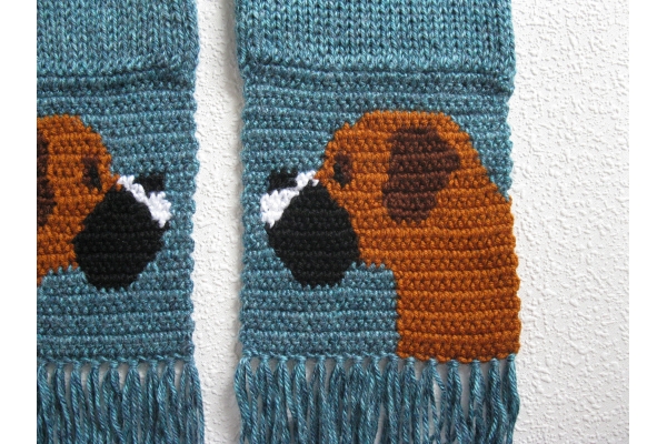 close up boxer