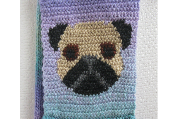 pug dogs