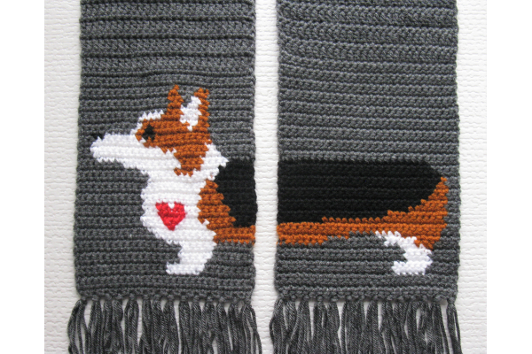 pembroke corgi