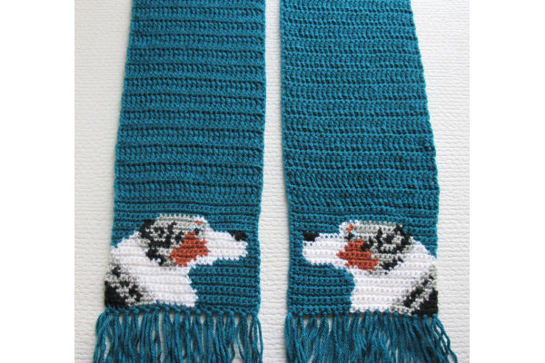 Australian shepherd scarf