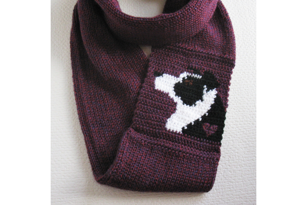 border collie scarf