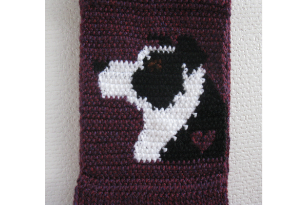 black and white dog