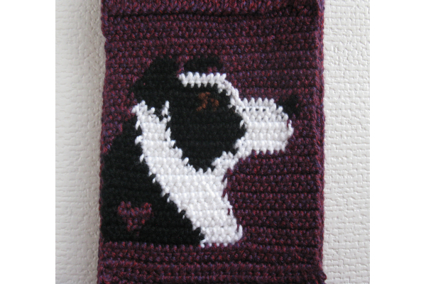 reverse side of scarf