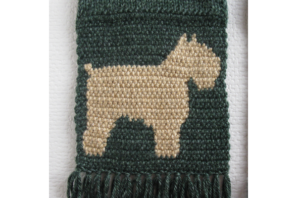 bouvier dog