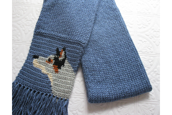 blue heeler scarf