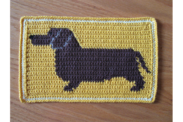 doxie dog