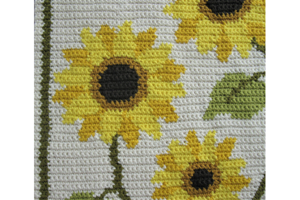 close up sunflowers