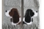 springer spaniel scarves