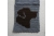 chocolate lab Labrador retriever