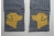 back side of scarf reverse dog