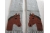 gray scarf with horses